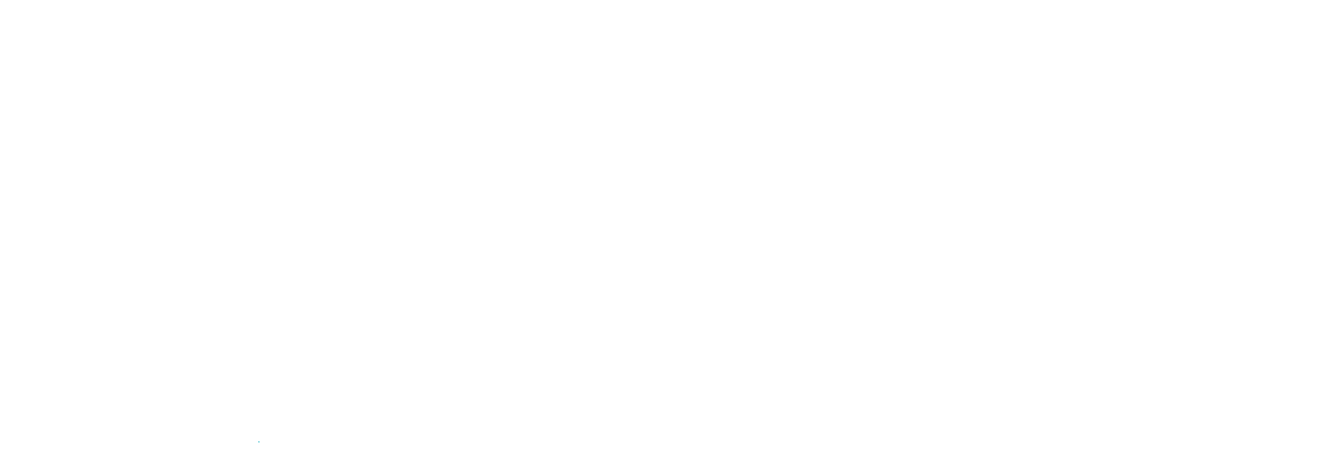 Turkish Steel